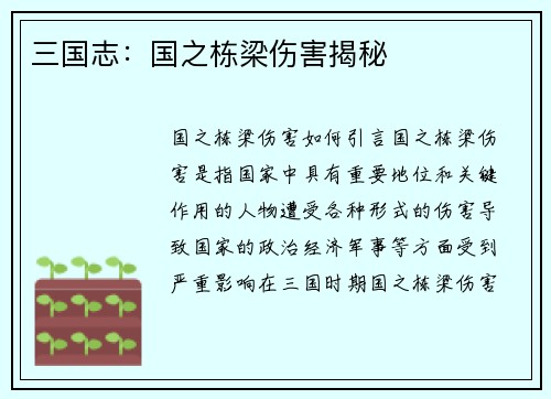 三国志：国之栋梁伤害揭秘